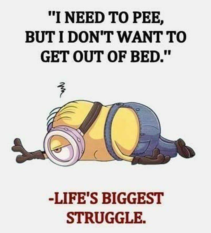 38 Funny Quotes Minions And Minions Quotes Images 32