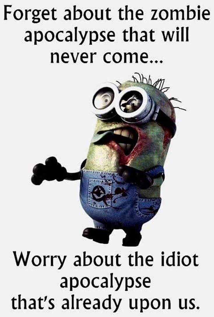 38 Funny Quotes Minions And Minions Quotes Images 4