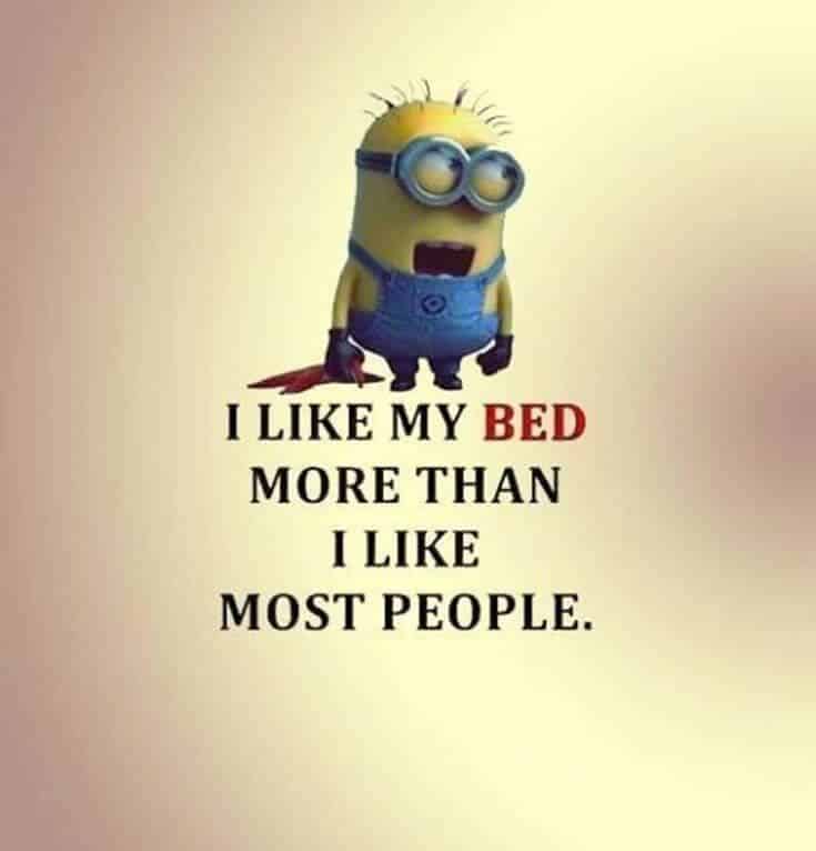 38 Funny Quotes Minions And Minions Quotes Images 9
