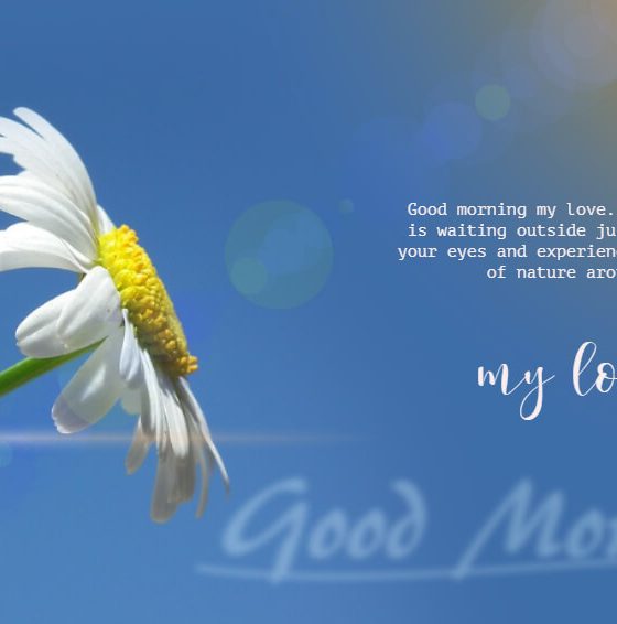 97 Good Morning Love Messages For Her Best Romantic Love Quotes