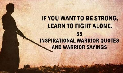 Inspirational Warrior Quotes And Warrior Sayings