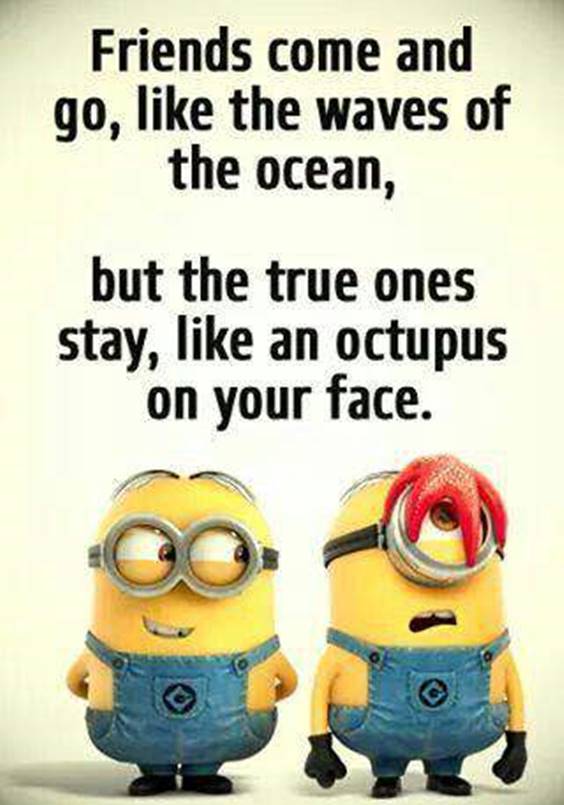 40 Crazy Funny Friendship Quotes for Best Friends 25