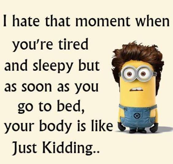 42 Funny Jokes Minions Quotes With minions images with quotes