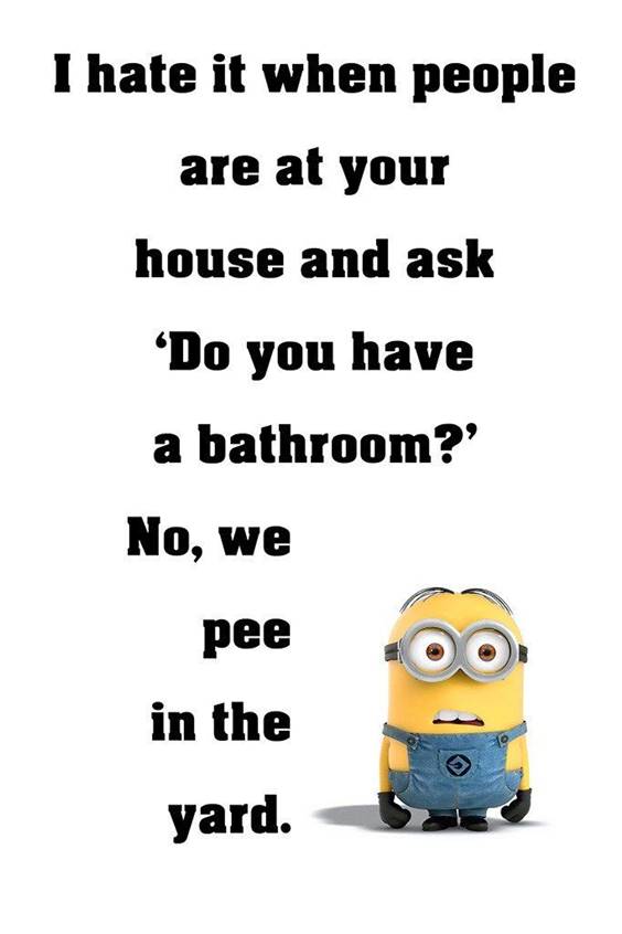 42 Funny Jokes Minions Quotes With Minions 32