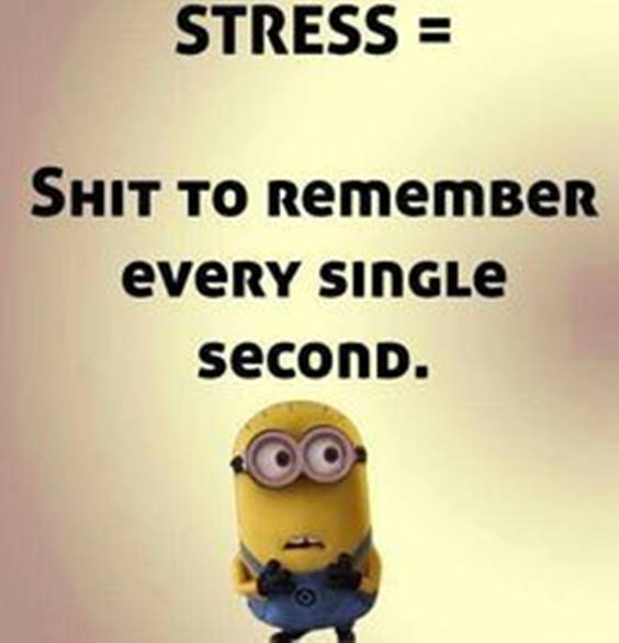 42 Funny Jokes Minions Quotes With Minions 34