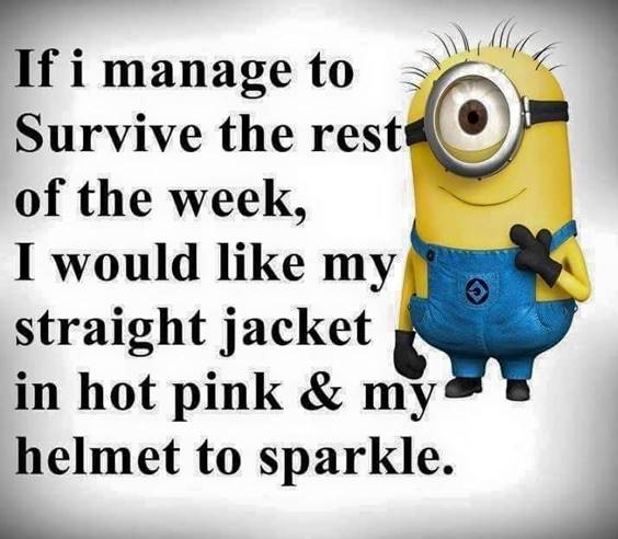 42 Funny Jokes Minions Quotes With Minions 44