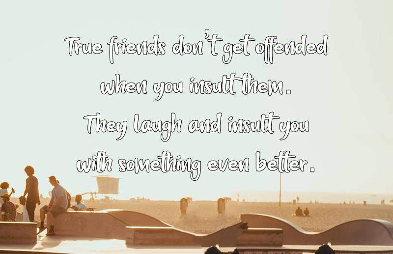 40 Crazy Funny Friendship Quotes for Best Friends - Dreams Quote