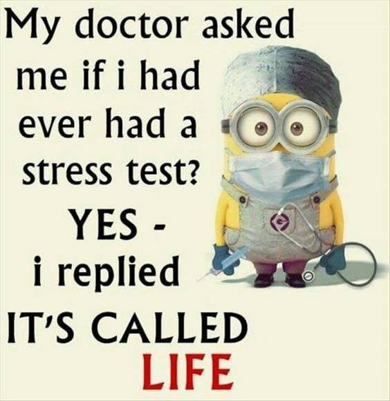 38 Great Funny Minion Quotes Funny images Funny Memes 1