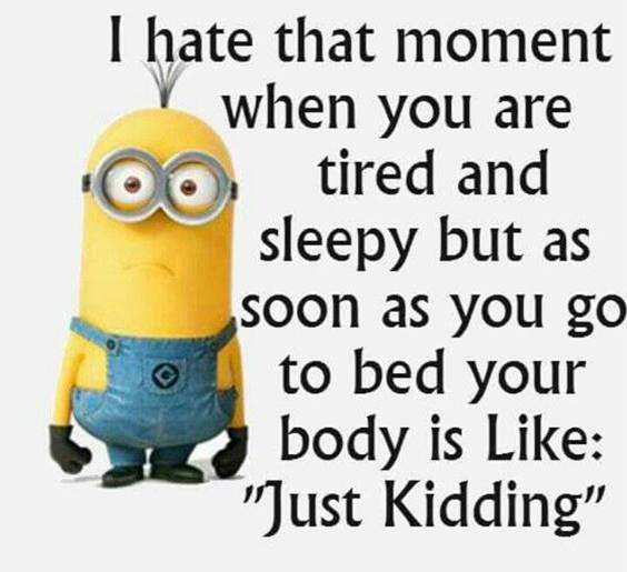 38 Great Funny Minion Quotes Funny images Funny Memes funny minion quotes about life craziest text messages