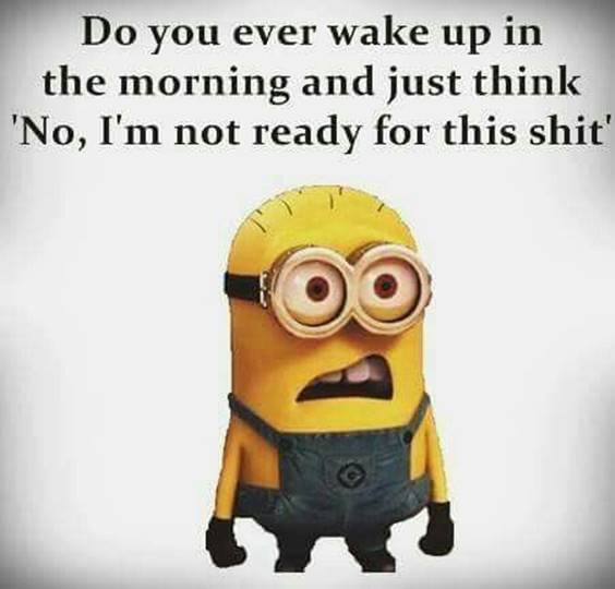 38 Great Funny Minion Quotes Funny images Funny Memes minion funny quotes crazy text messages