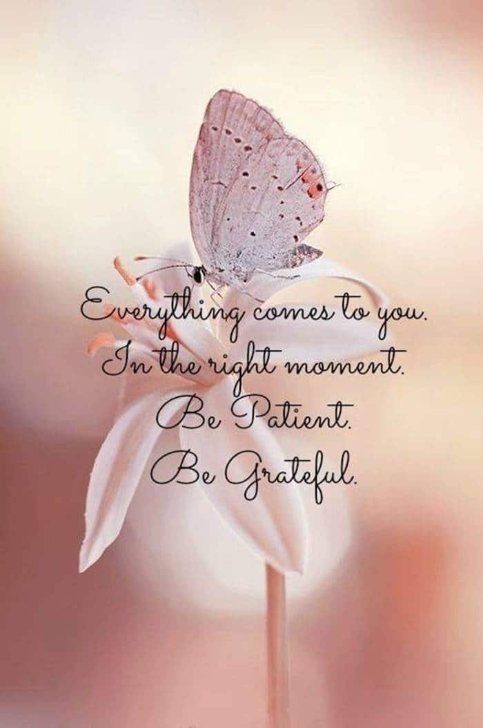96 iPhone wallpaper quotes with beautiful images 14 Motivational Quotes iPhone Wallpapers - Top Free Motivational Quotes iPhone Backgrounds