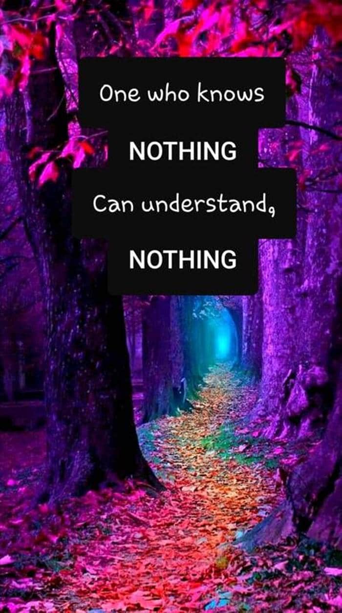 96 iPhone wallpaper quotes with beautiful images 48 96 iPhone wallpaper quotes with beautiful images | motivational wallpaper iphone, motivational wallpaper phone, wallpaper on life