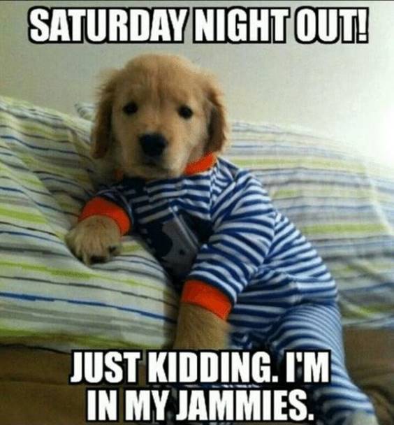 110 Hilarious Funny Saturday Memes to Make Brighten Your day - Dreams Quote