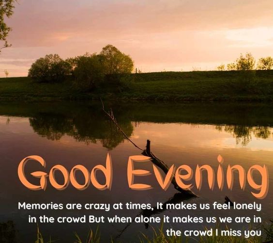 good evening cat meme good evening cat meme