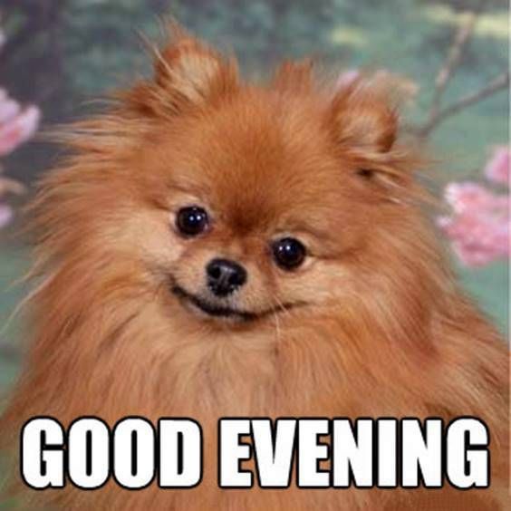 good morning memes dirty good morning memes dirty