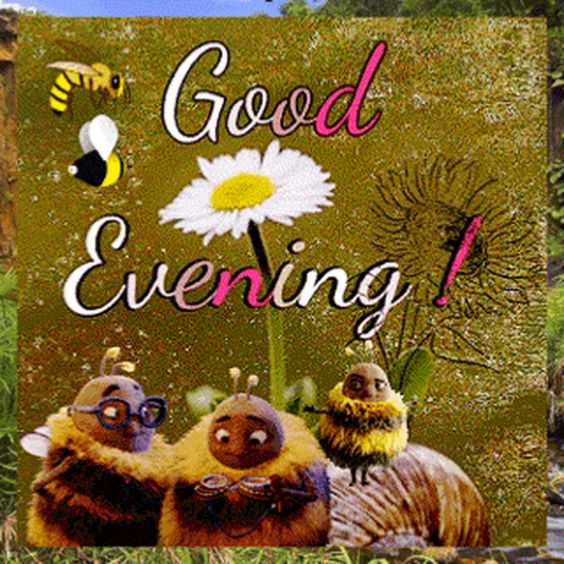 good morning memes for him good morning memes for him