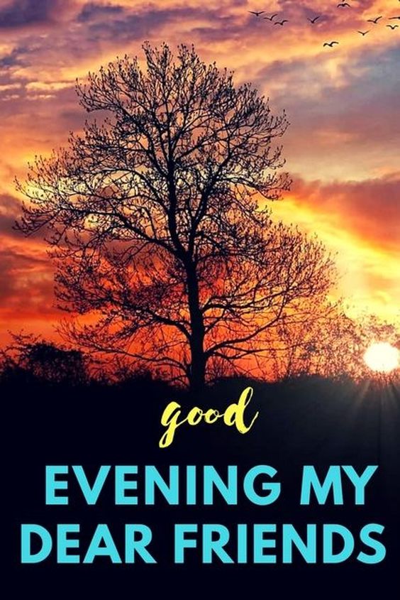 good night anu memes good night anu memes