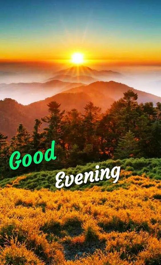 good night beautiful memes good night beautiful memes