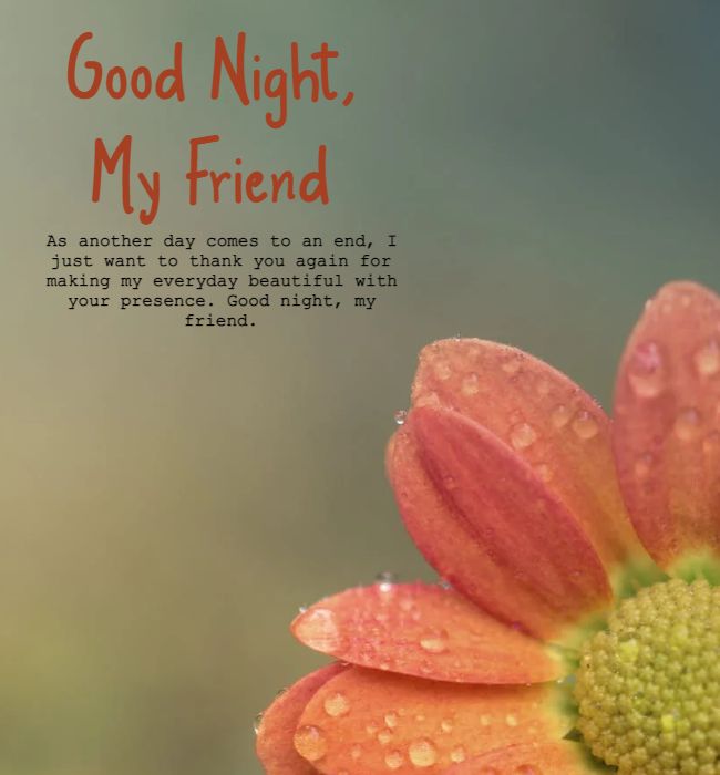 good night messages for friends 1