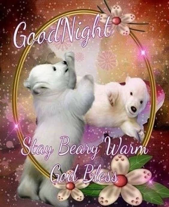 funny good night messages and wishes