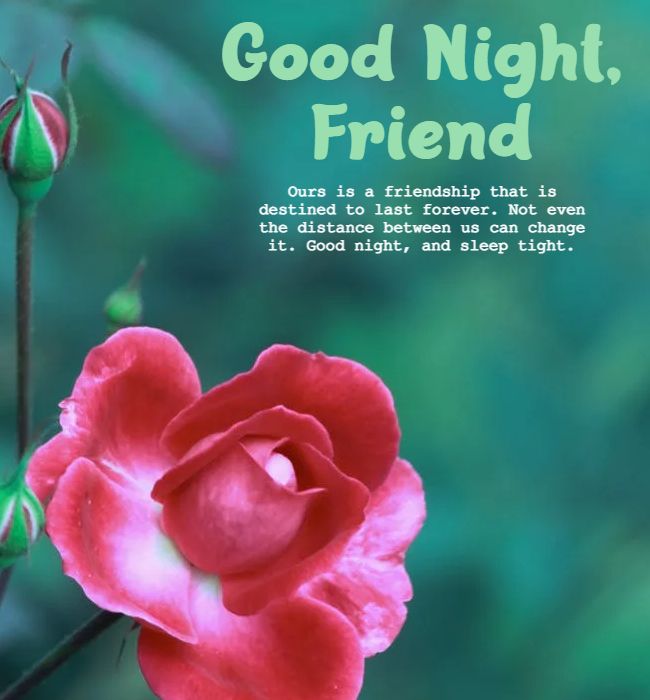 45 Good Night Messages For Friends With Images for Good Night - Dreams ...