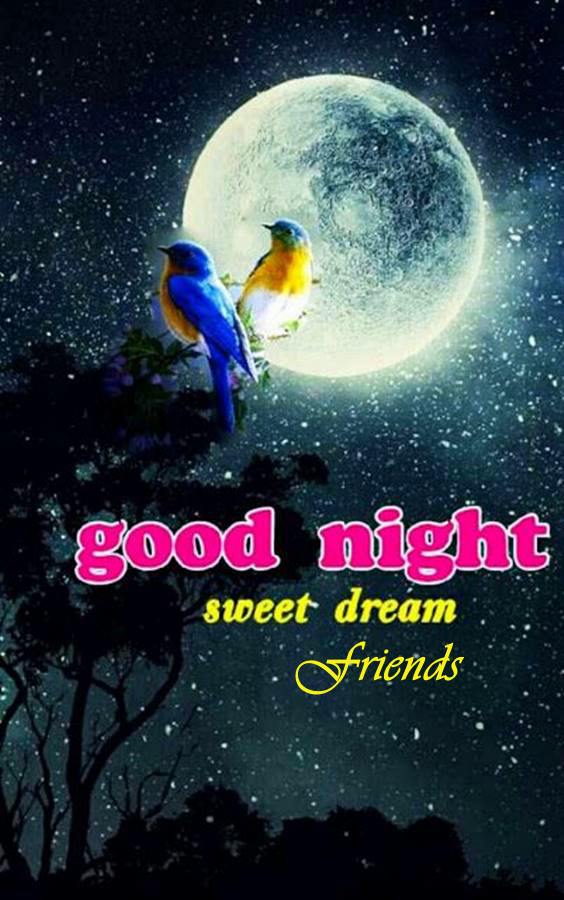 45 Good Night Messages For Friends With Images For Good Night Dreams