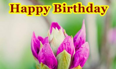 happy birthday flowers with quotes