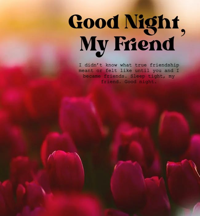 45 Good Night Messages For Friends With Images for Good Night - Dreams ...