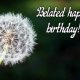 Belated Happy Birthday Wishes Messages and Sayings with Images