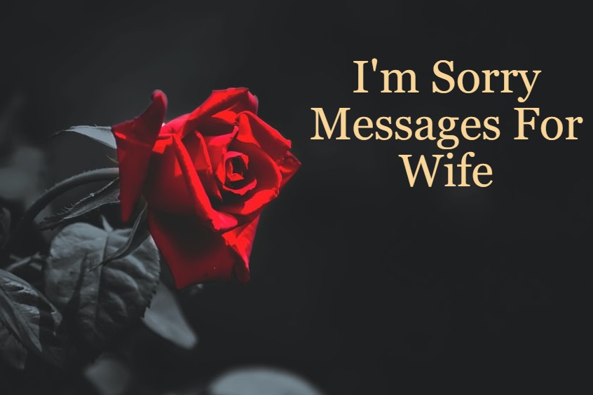 145 Heart Touching I M Sorry Messages For Wife Romantic And Sweet Dreams Quote