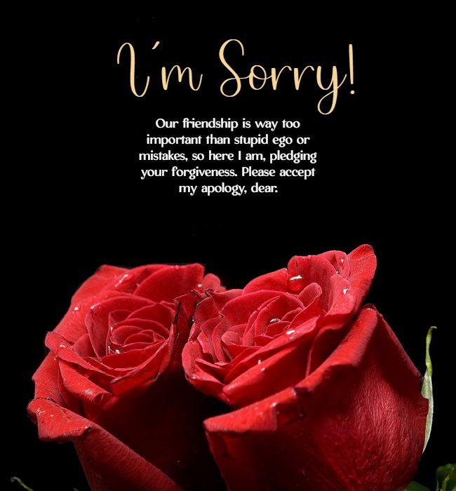 apology message to a friend