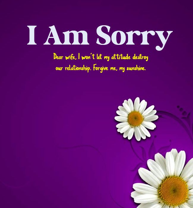 i m sorry paragraphs for wife