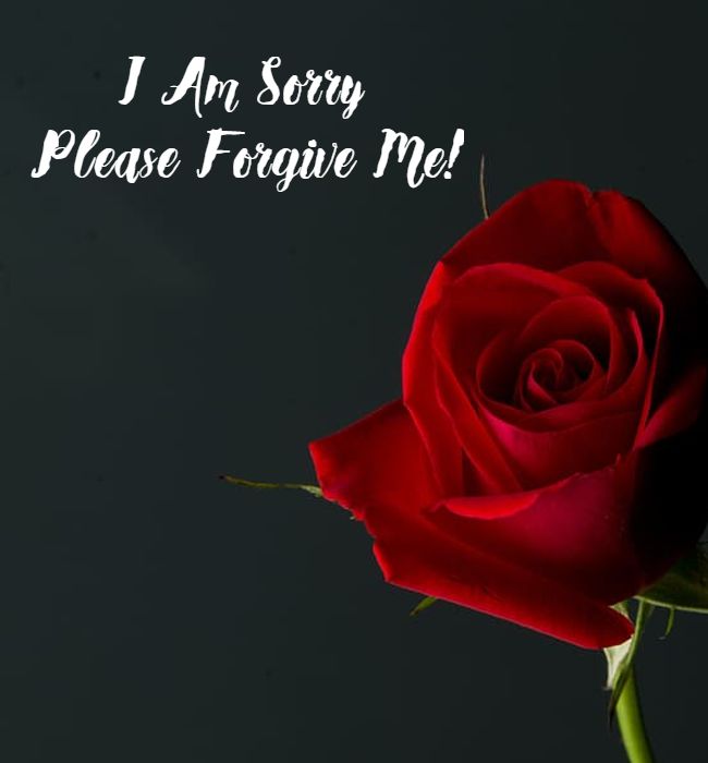 sorry message for friends