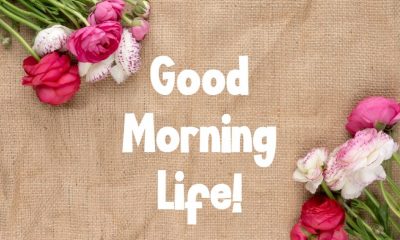 Beautiful Good Morning Life Images And Fun Quotes