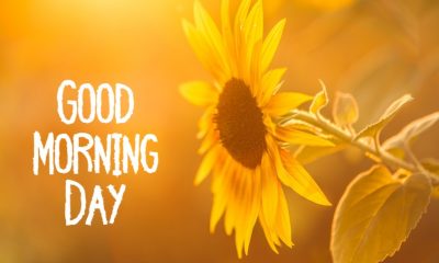 Best Good Morning Day Images With Pictures And Happy Good Morning Pic