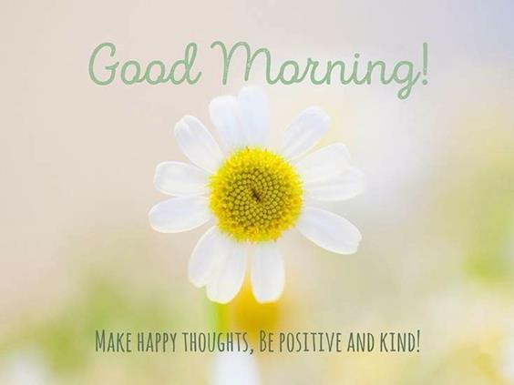 Best Good Morning Day Images With Pictures And Happy Good Morning Picgood morning day quotes