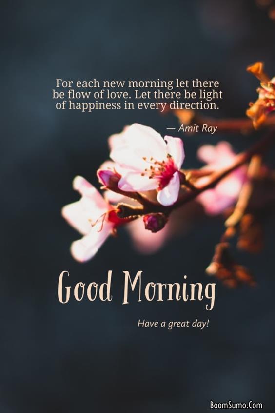 Best Good Morning Day Images With Pictures And Happy Good Morning Picmorning life quotes