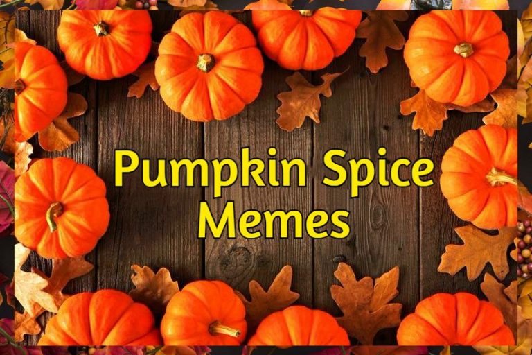 38 Pumpkin Spice Memes Images And Quotes Dreams Quote