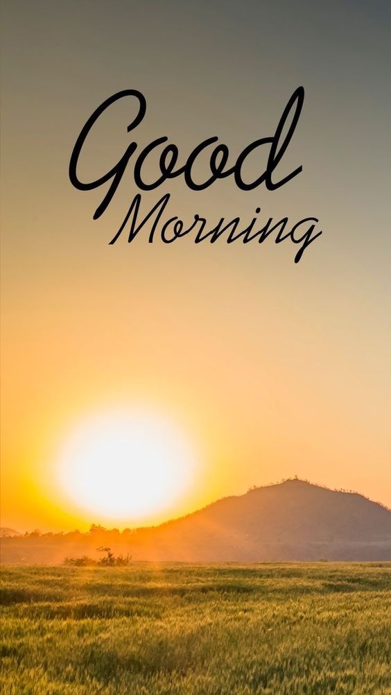 friday good morning friday good morning