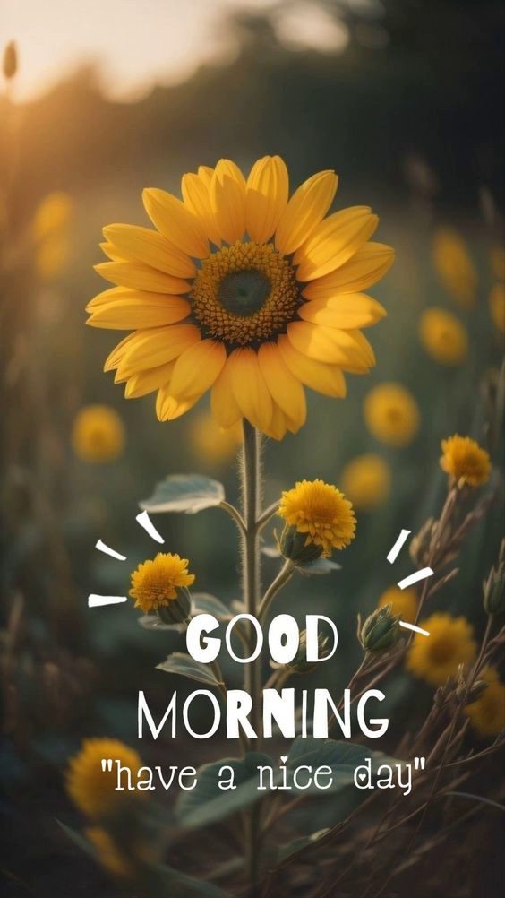 friend good morning friend good morning