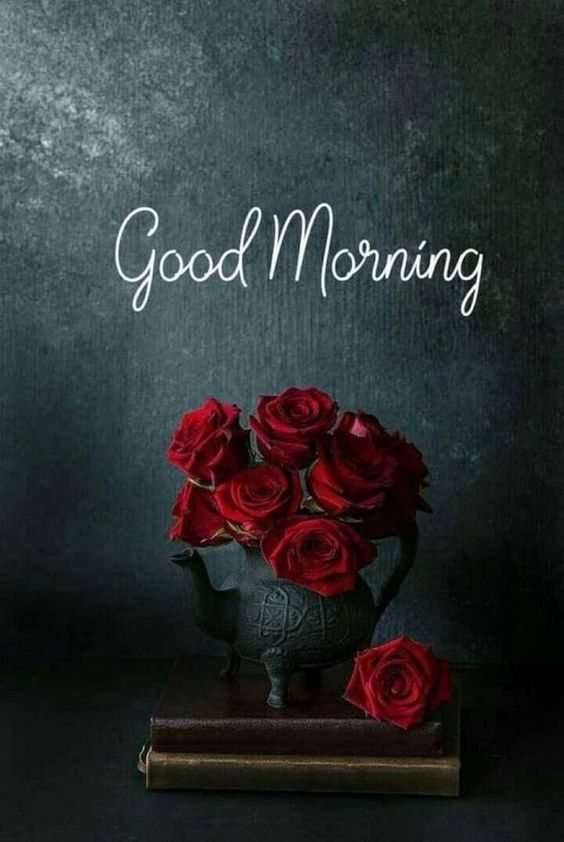 funny good morning memes funny good morning memes