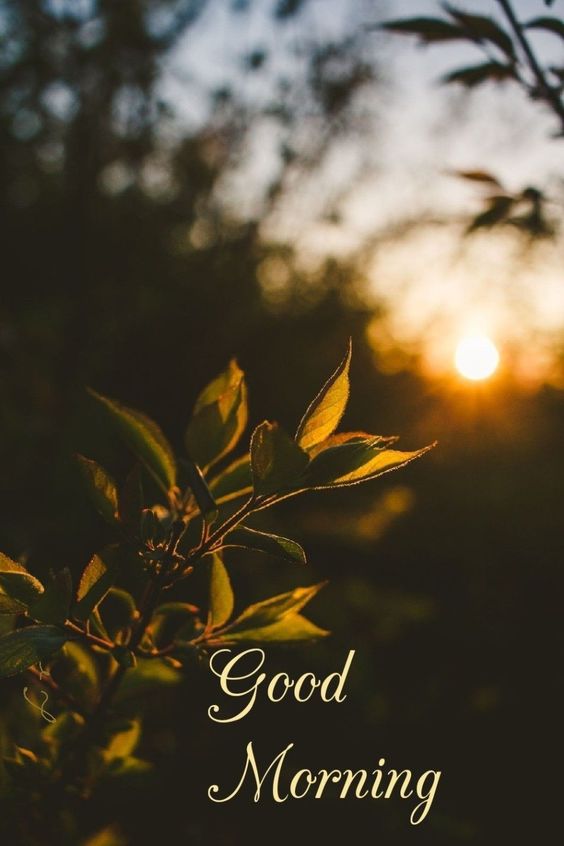 good friday good morning good friday good morning