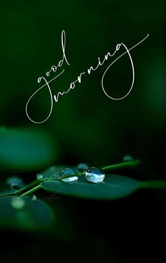 good morning all good morning all