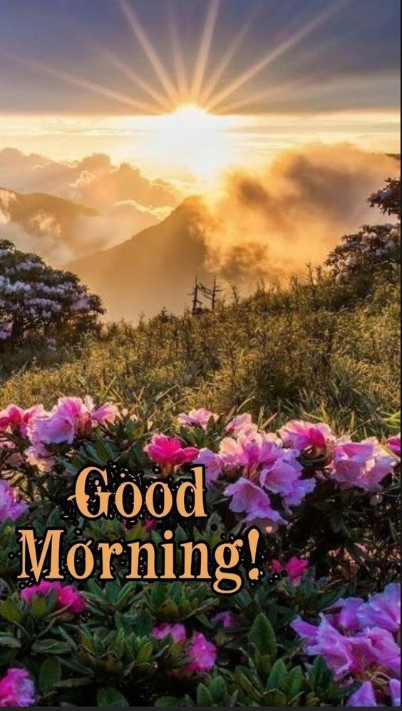 good morning america deals and steals good morning america deals and steals