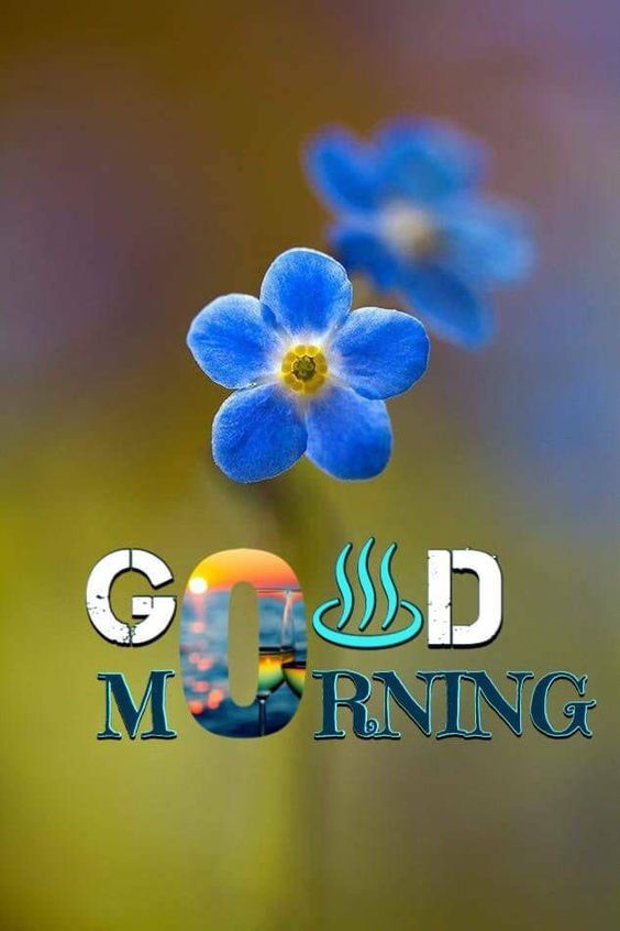 good morning asl good morning asl