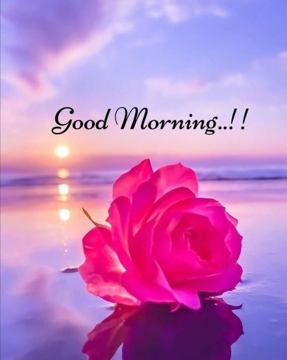 good morning baltimore lyrics good morning baltimore lyrics