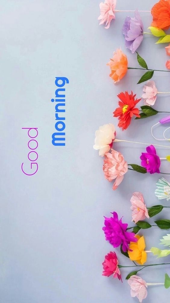 good morning beautiful gif good morning beautiful gif