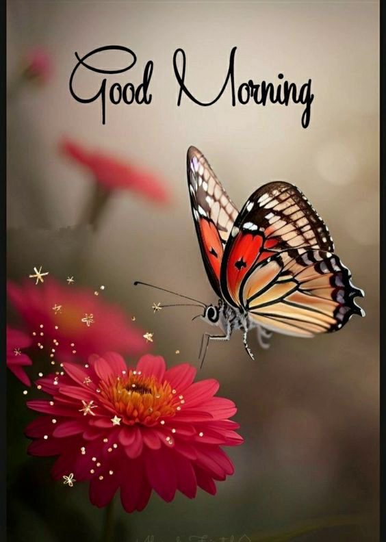 good morning clipart good morning clipart