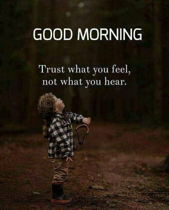 just good morning Good Morning Msg With Pictures Images Quotes And Good Thoughts