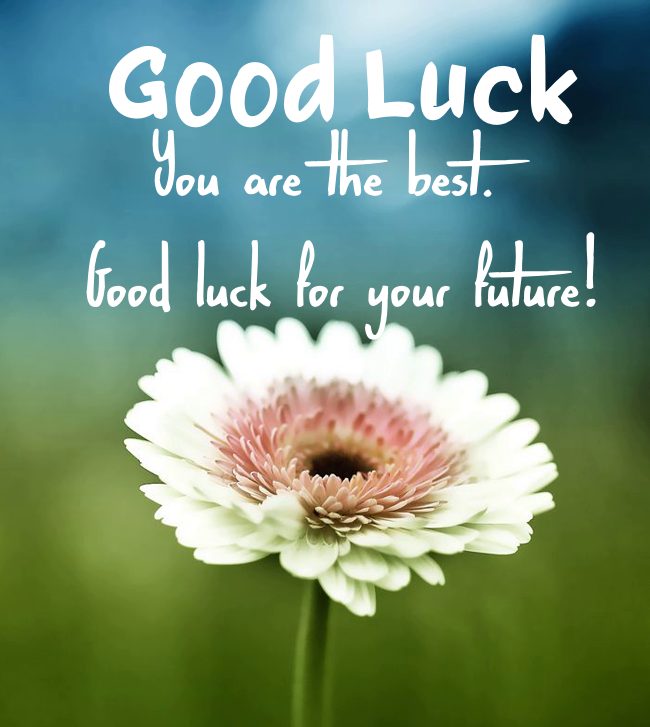 Good Luck Wishes Quotes, Sayings and Messages | success best wishes for future, motivation good luck quote, all the best wishes for a new life